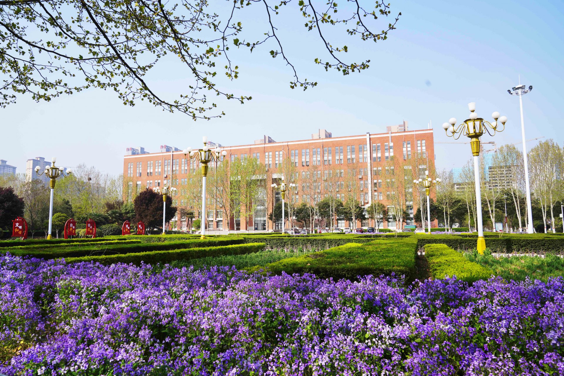 为规范临床教学基地建设和管理