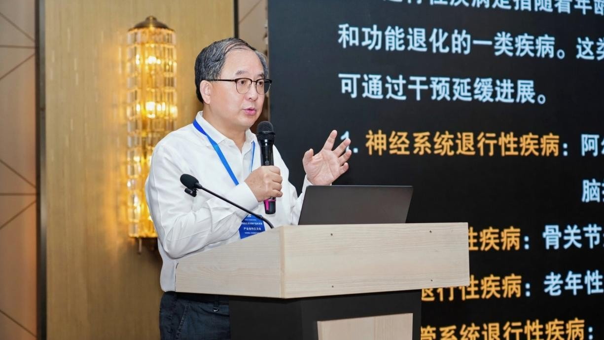 史齐审核