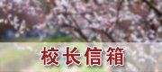 官方抖音