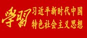 河医大报