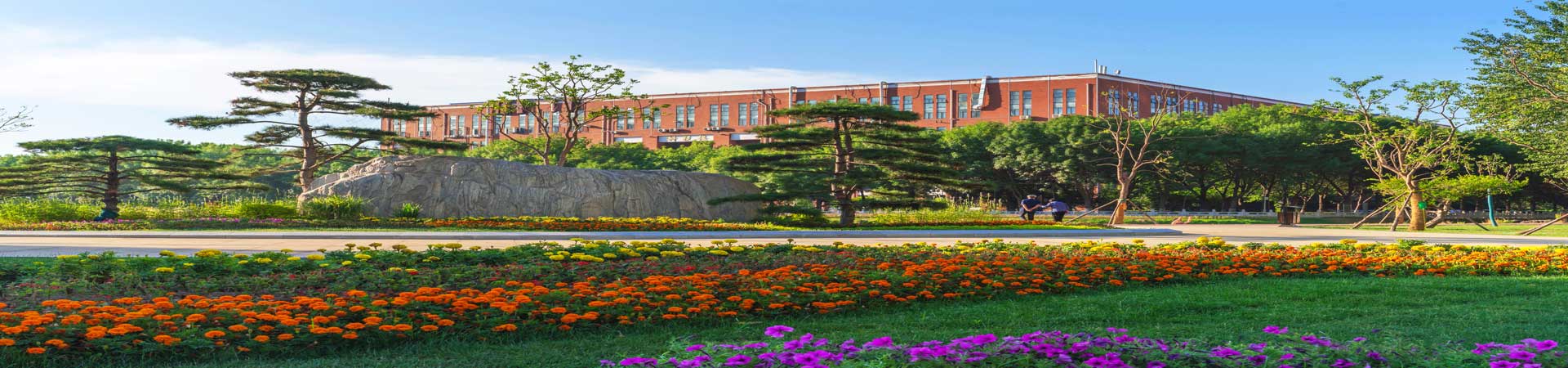 学术副校长华子春带队药学学部